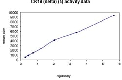 Eurofins DiscoverX Casein Kinase 1 (aa 1-294) Protein, Active 10 &mu;g | Buy Online | Eurofins DiscoverX | Fisher Scientific
